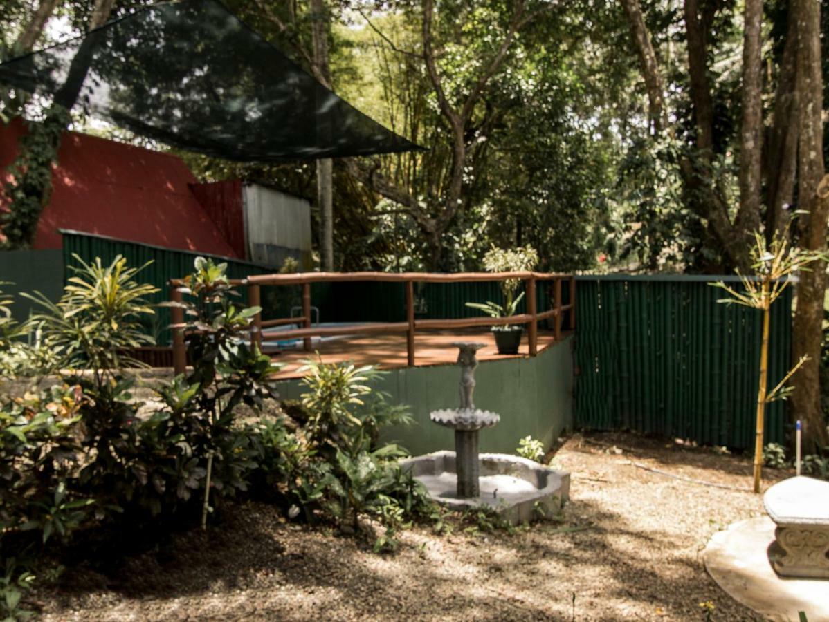 Casa Tucanes マヌエル・アントニオ エクステリア 写真